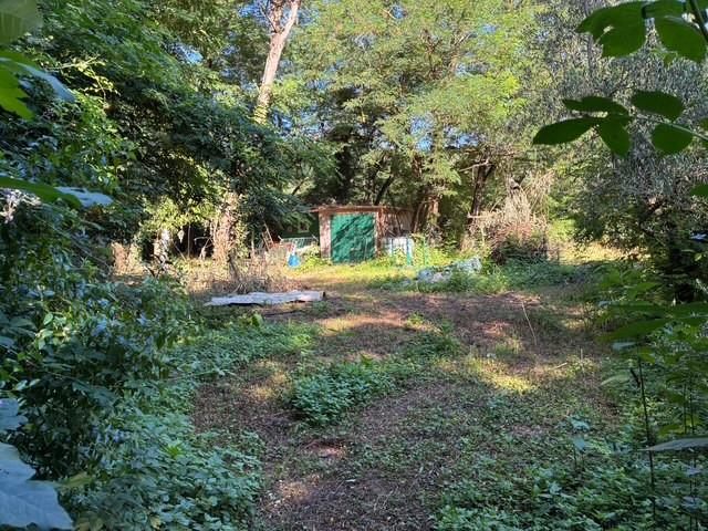 Casa vacanza 3 Locali con giardino, Buti cascine