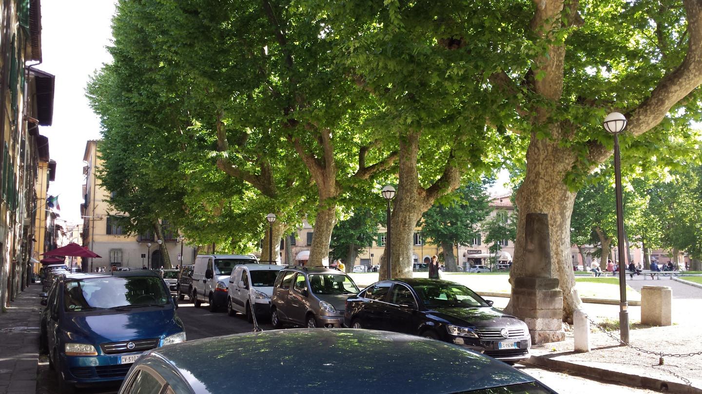 Quadrilocale arredato in affitto, Pisa san francesco