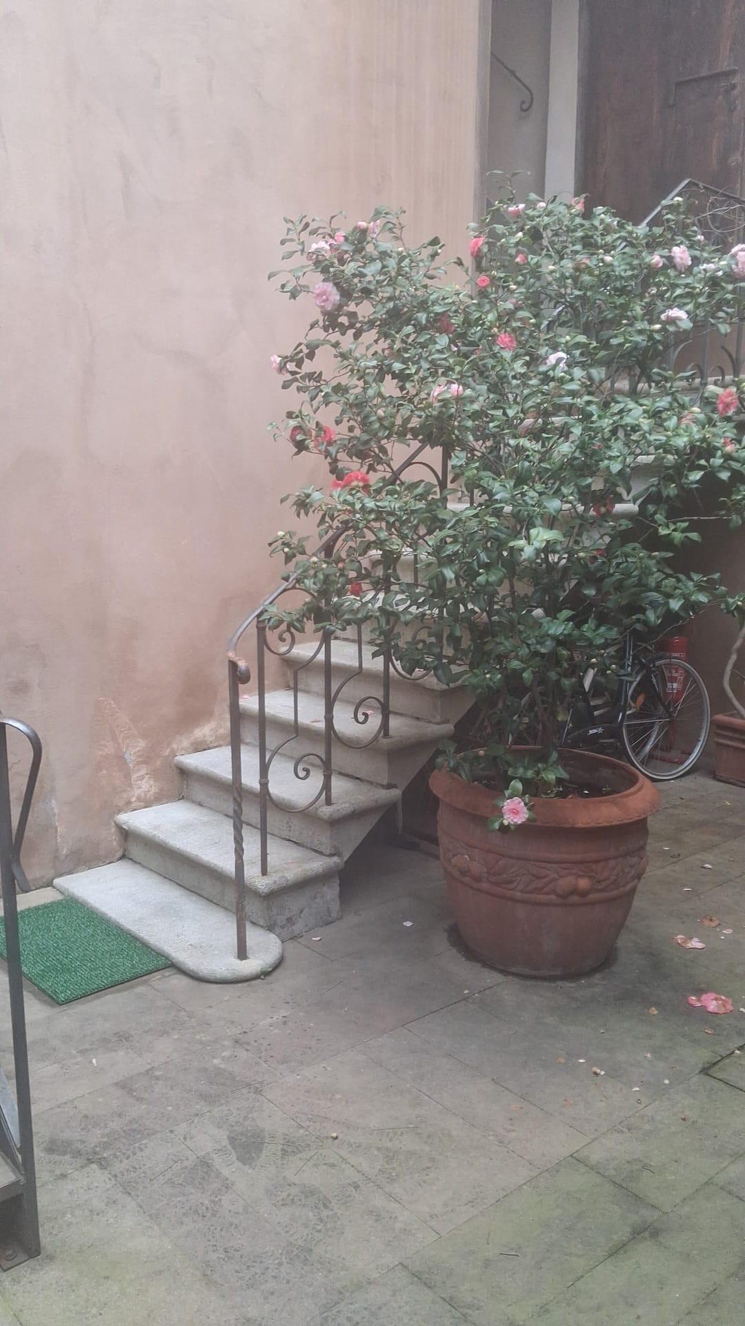 Trilocale arredato in affitto, Lucca prima periferia
