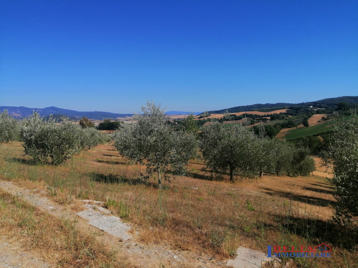 Terreno in vendita a Rosignano Marittimo