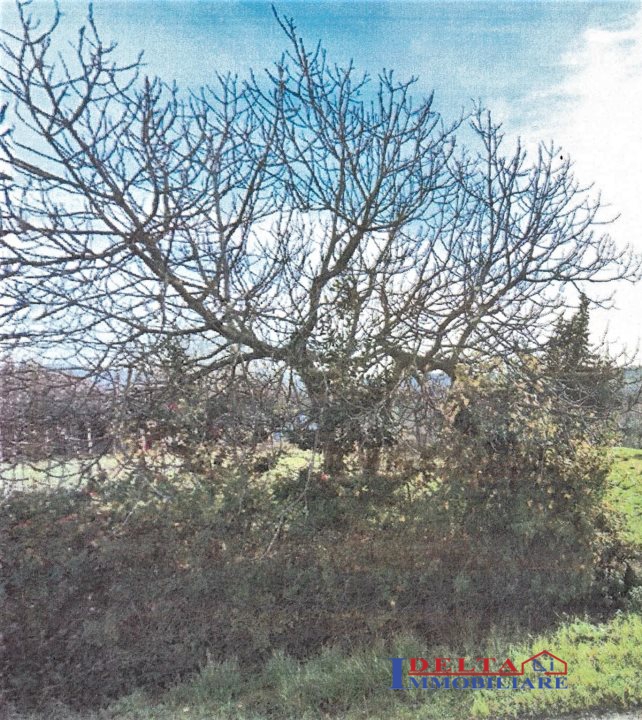 Terreno in vendita, Cecina san pietro in palazzi