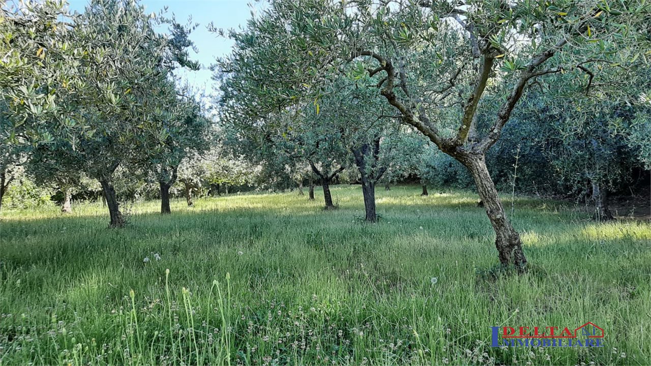 Terreno in vendita, Rosignano Marittimo rosignano solvay