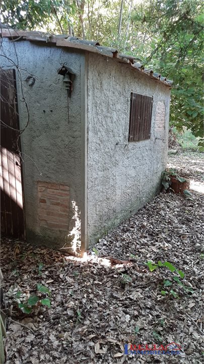 Terreno in vendita, Rosignano Marittimo rosignano solvay