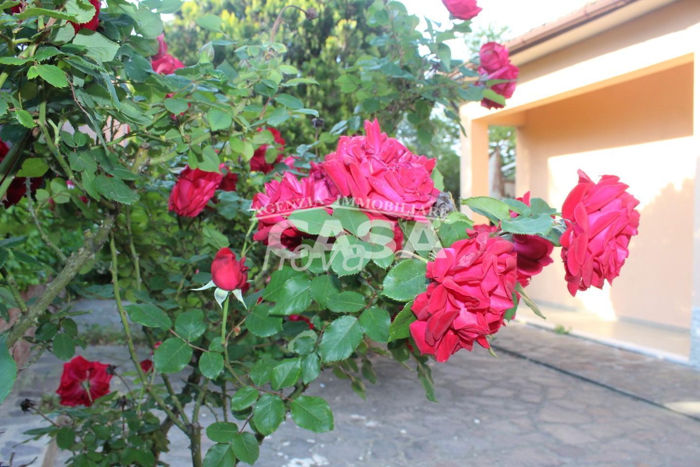 Casa indipendente con giardino, Montopoli in Val d'Arno marti
