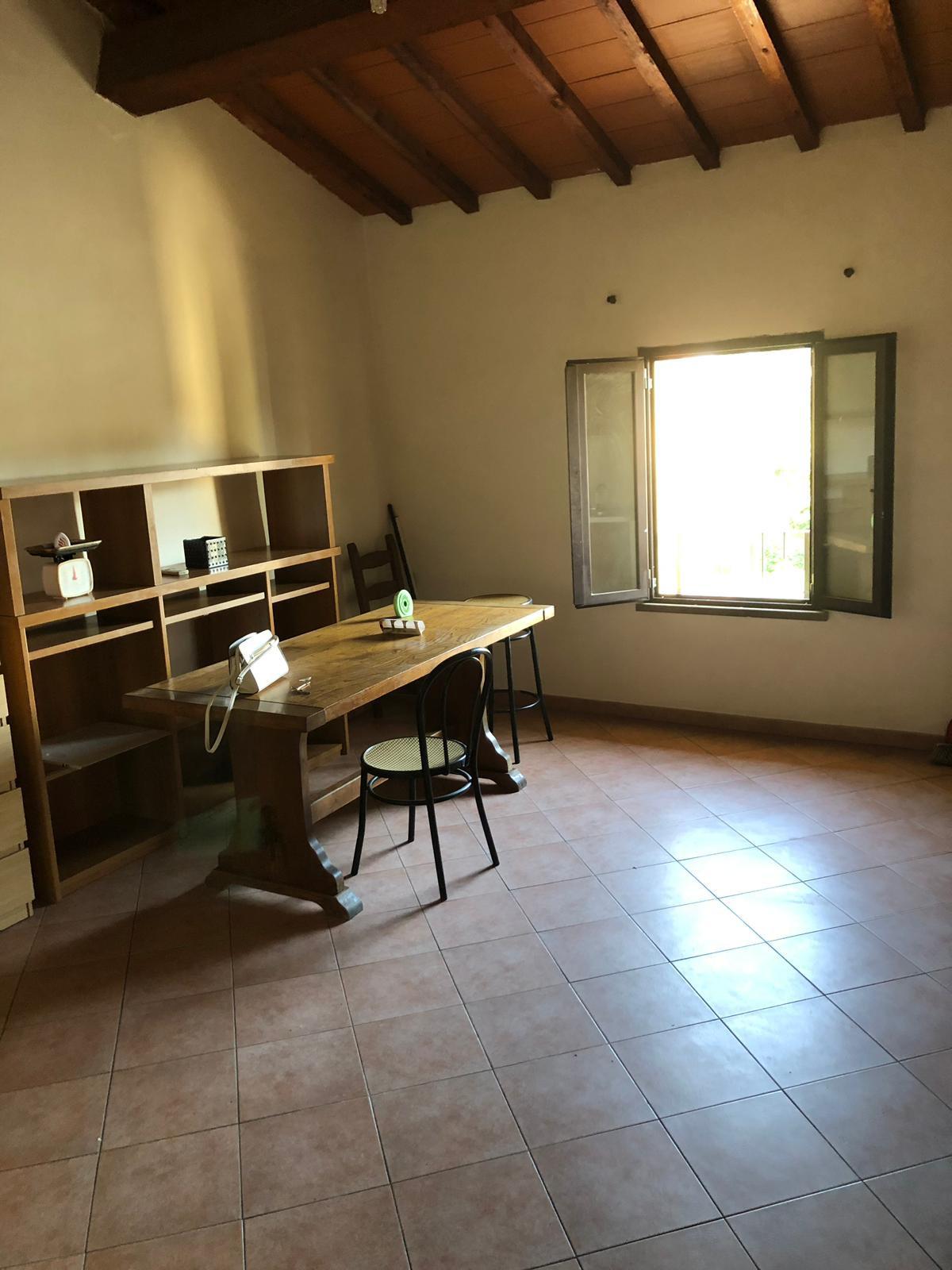 Bilocale in affitto a Ponsacco