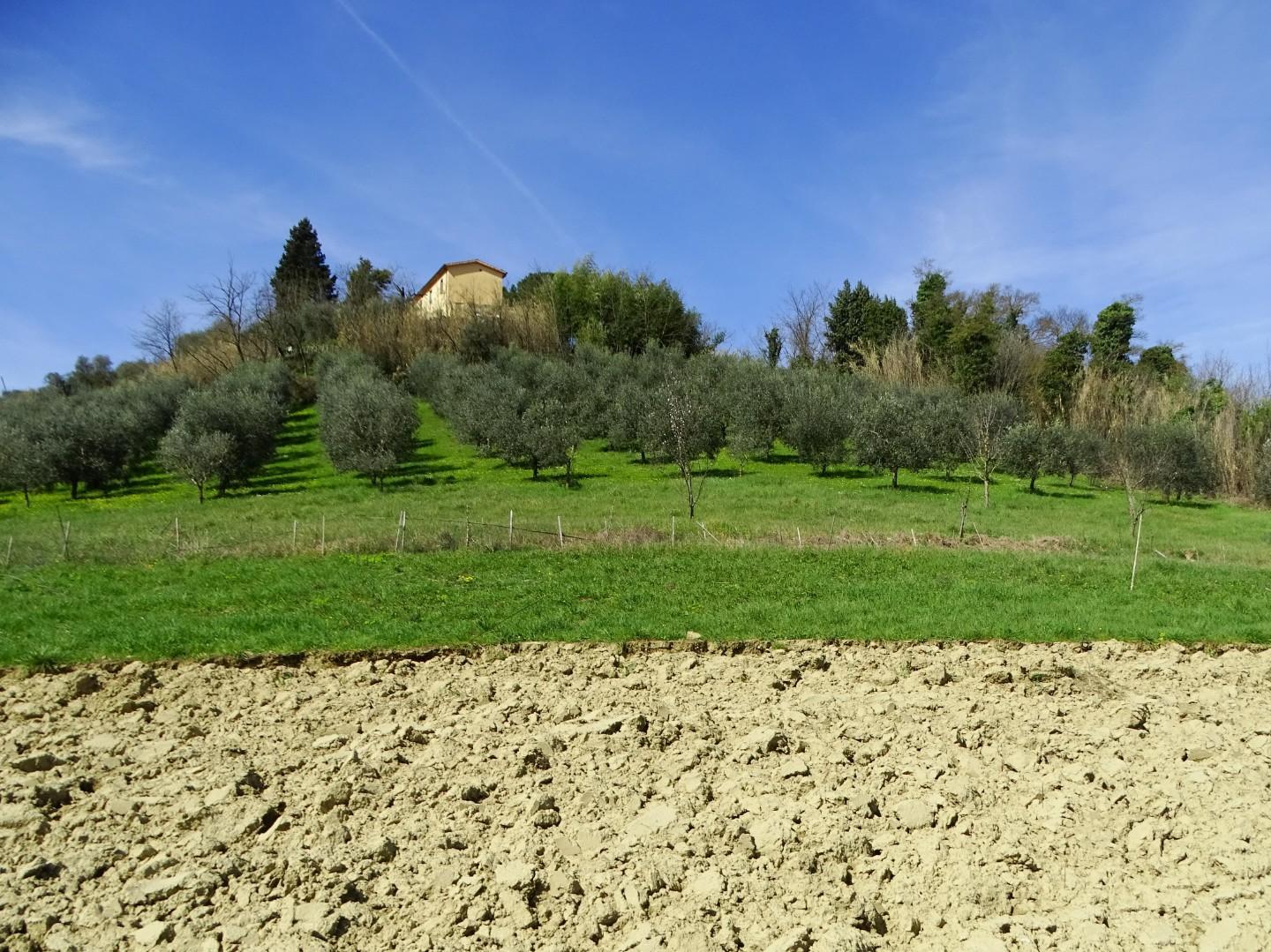 Casa indipendente in vendita, San Miniato cigoli