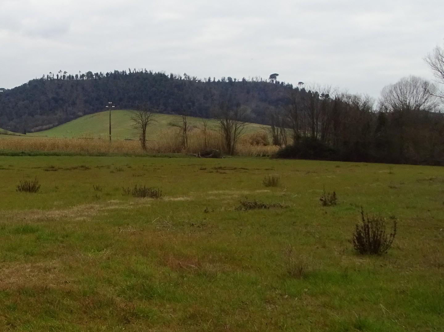 Terreno Agricolo in vendita, San Miniato corazzano