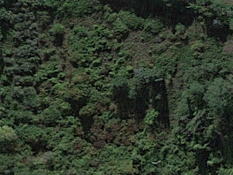 Terreno Agricolo in vendita, San Miniato borghigiana