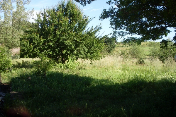 Terreno Agricolo in vendita, San Miniato balconevisi