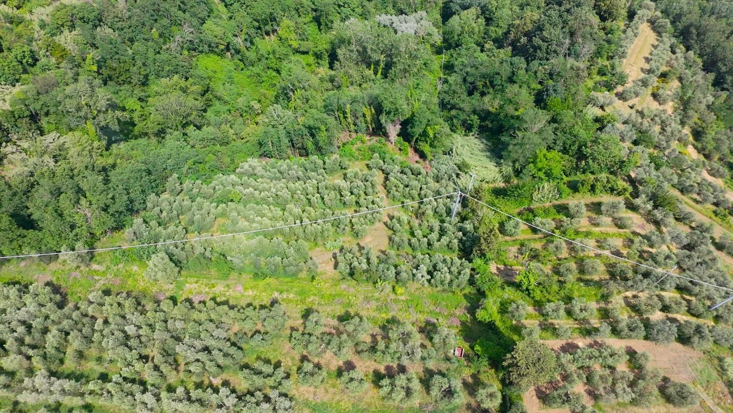 Terreno Agricolo in vendita, San Miniato balconevisi