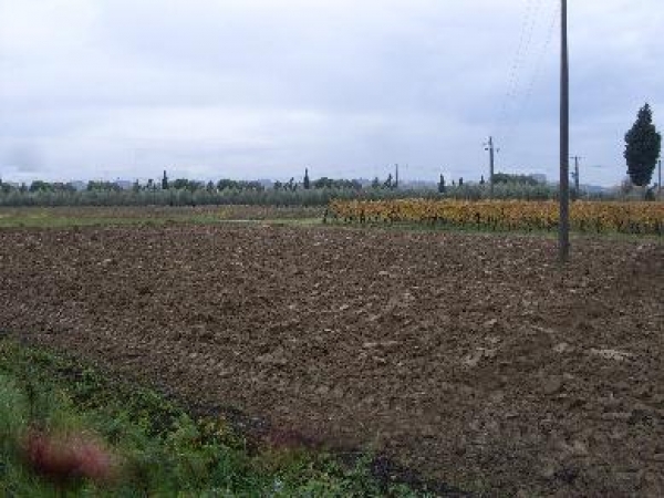 Terreno Edificabile in vendita a San Miniato