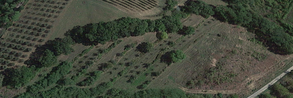 Terreno Agricolo in vendita, San Miniato borghigiana