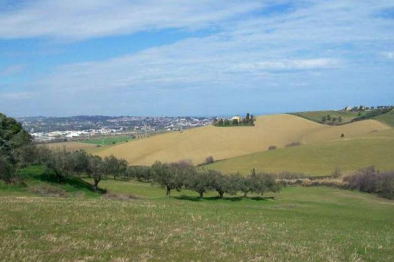 Terreno Agricolo in vendita a San Miniato