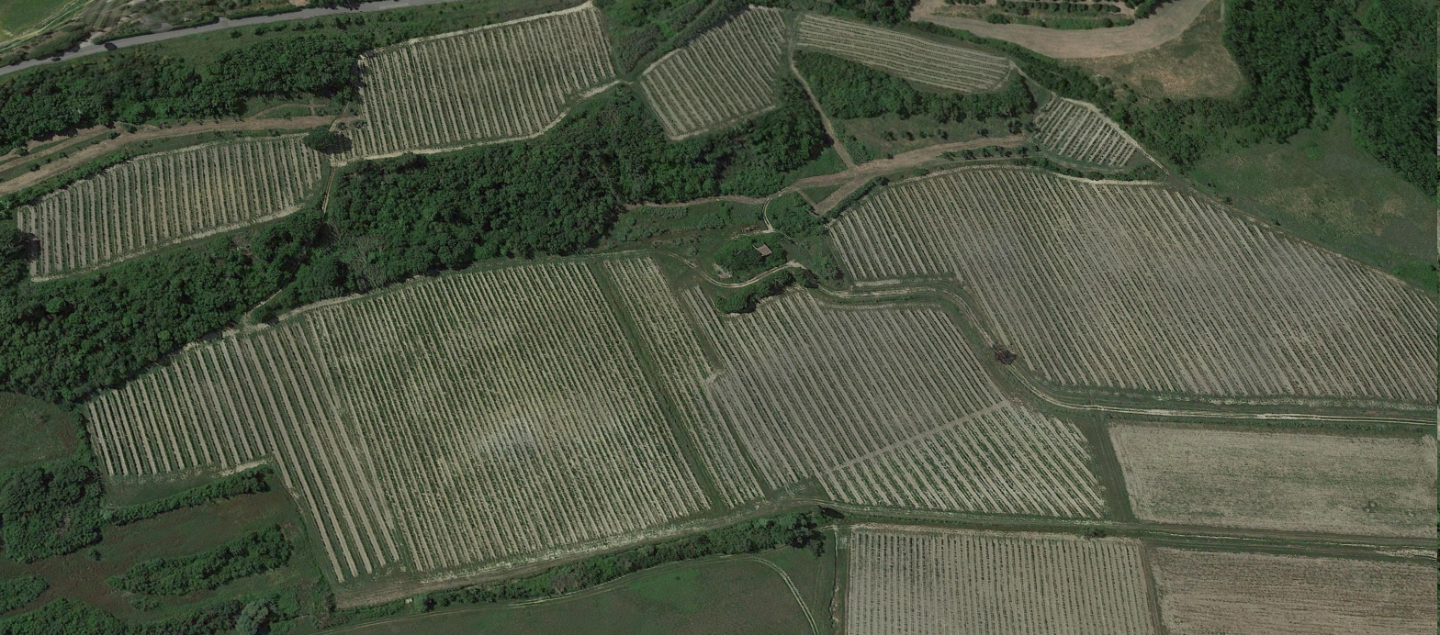 Terreno Agricolo in vendita a San Miniato