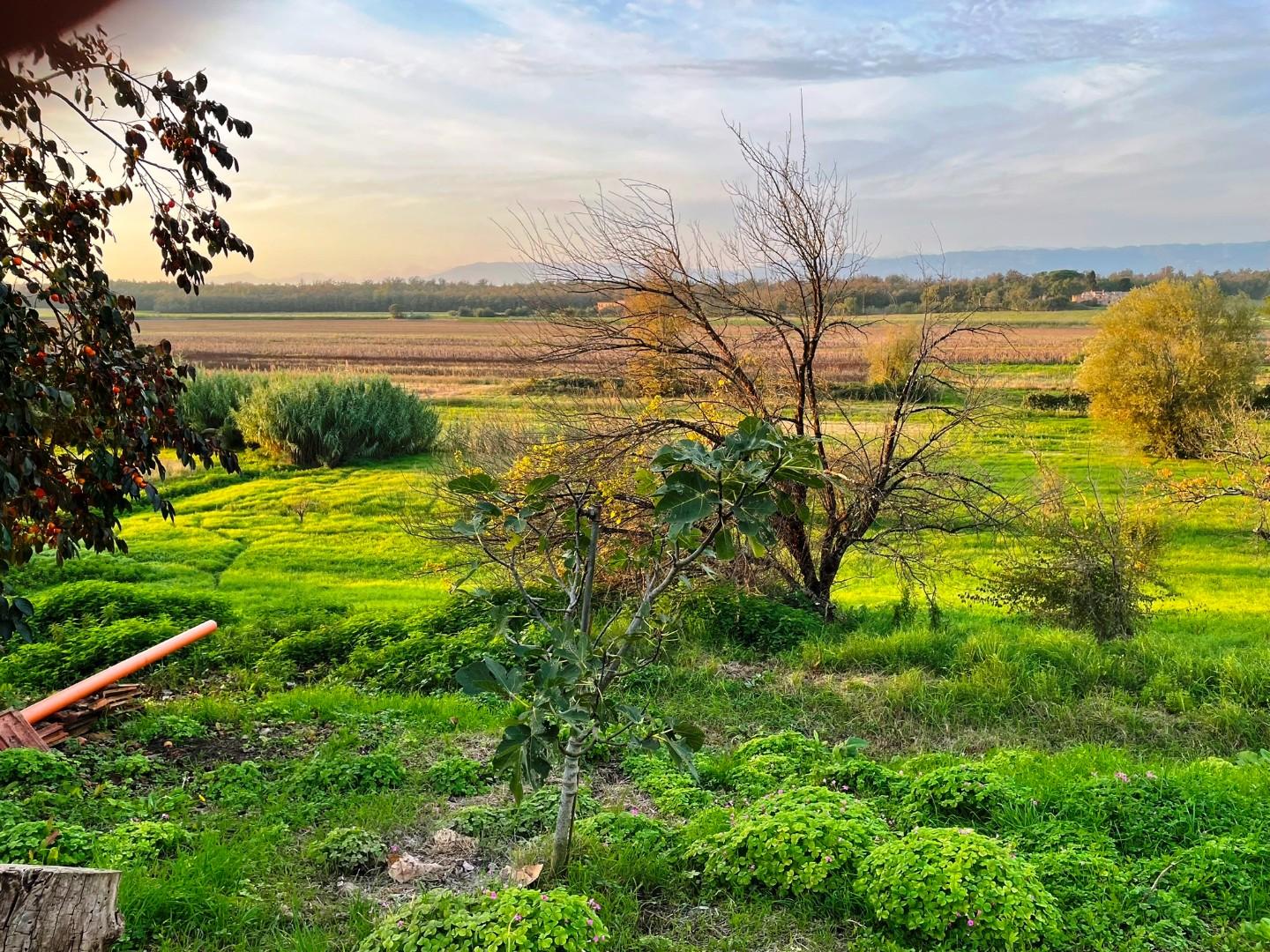 Rustico con giardino, Cerreto Guidi stabbia