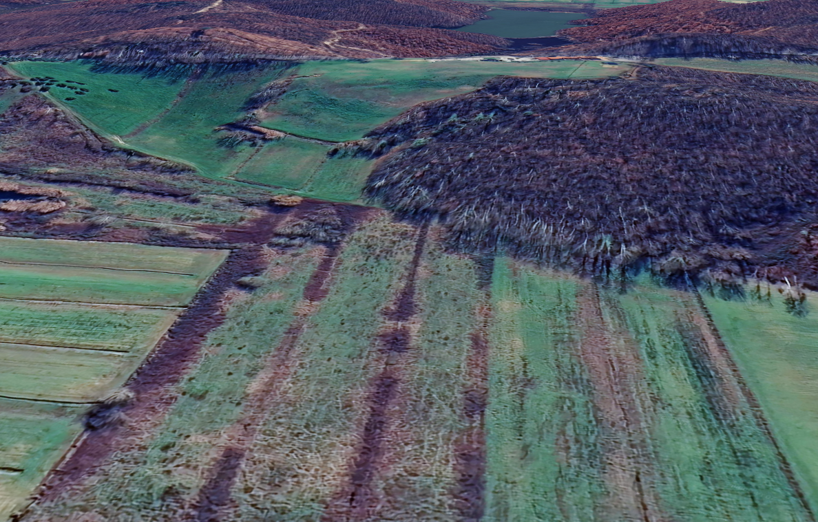 Terreno Agricolo in vendita, Cerreto Guidi stabbia