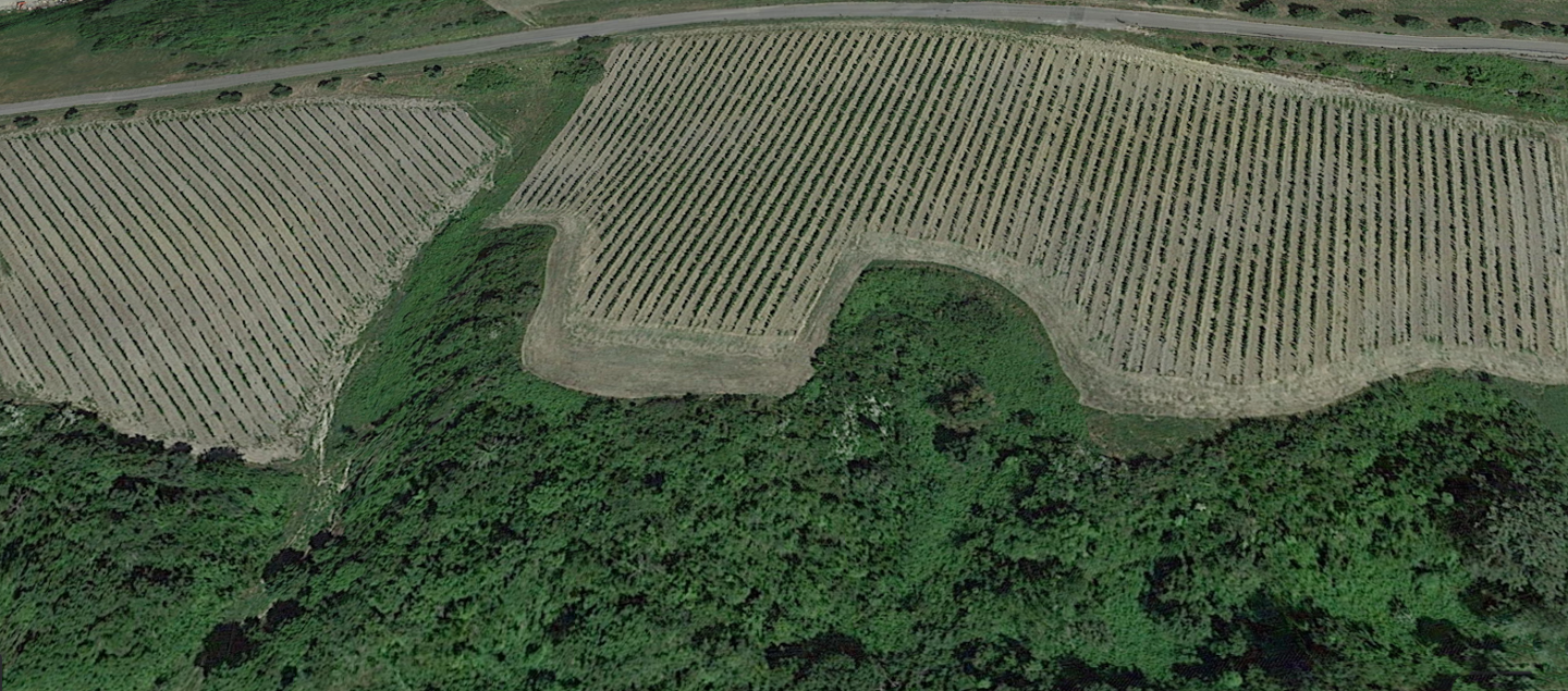 Terreno Agricolo in vendita a San Miniato