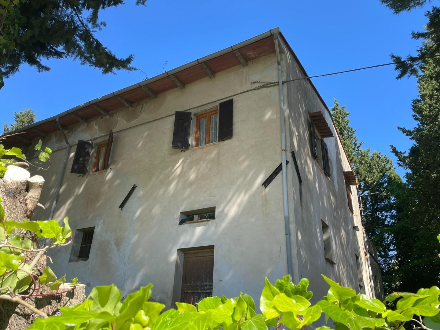 negozio in vendita a Castelfiorentino