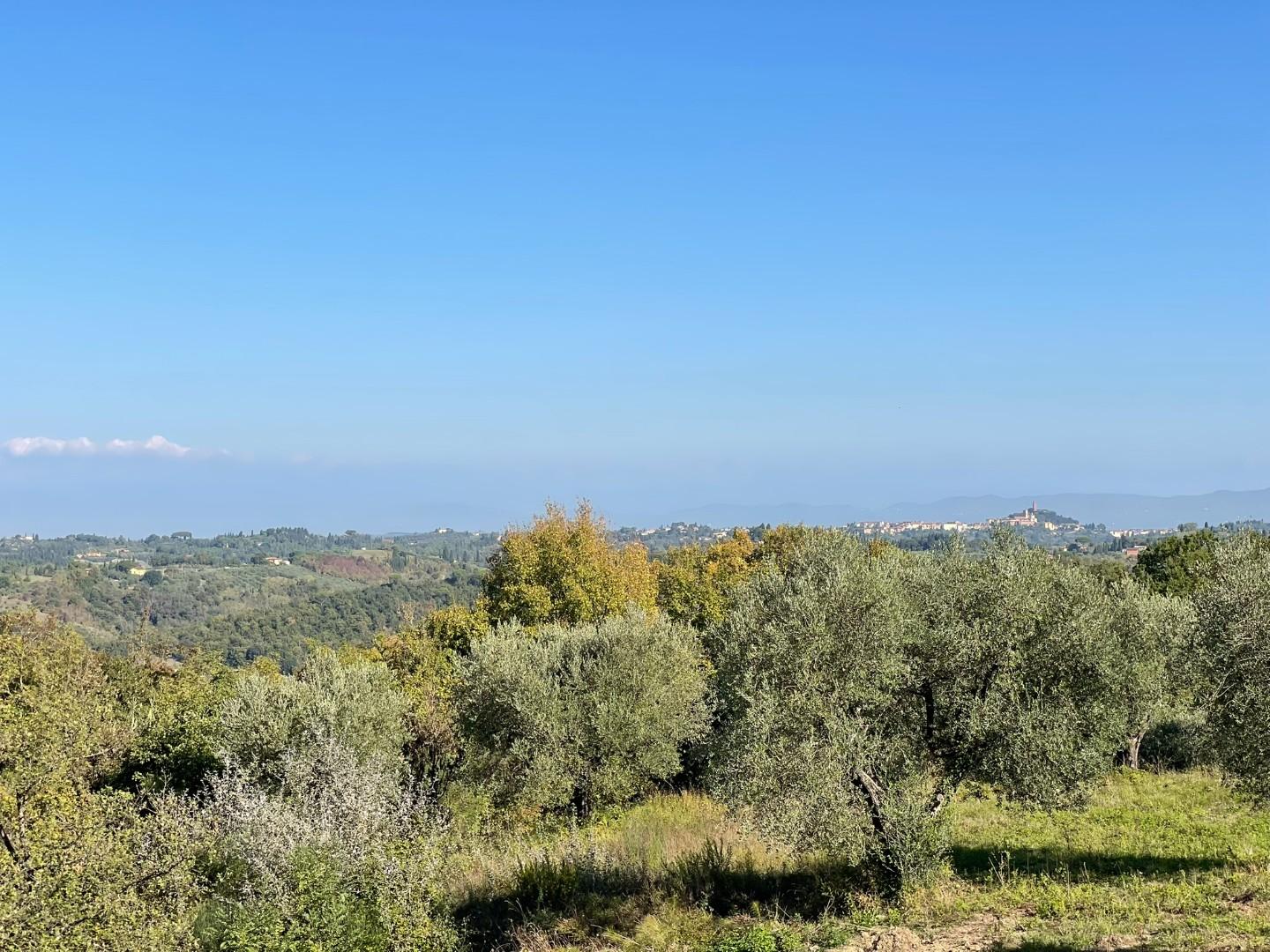 Casa indipendente arredata in affitto, San Miniato balconevisi