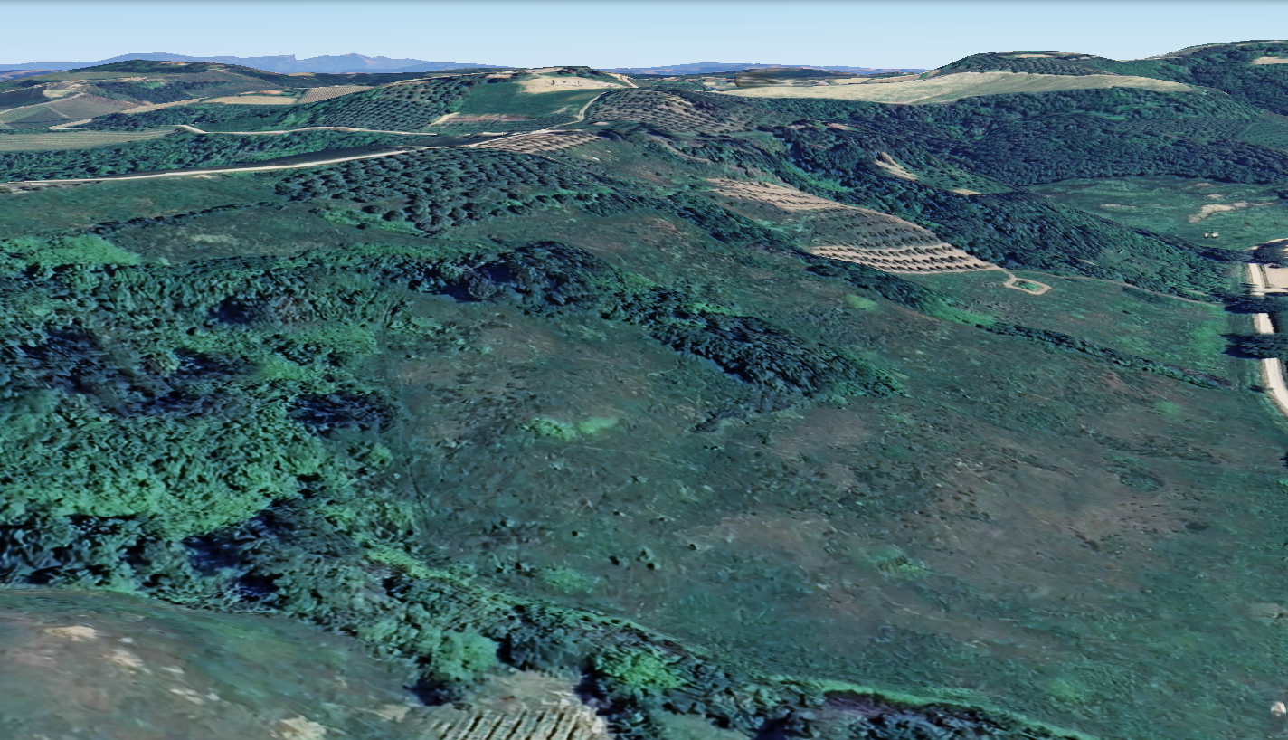 Terreno Agricolo in vendita a San Miniato