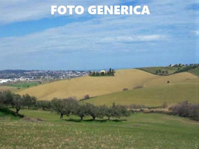 Terreno Agricolo in vendita, San Miniato calenzano