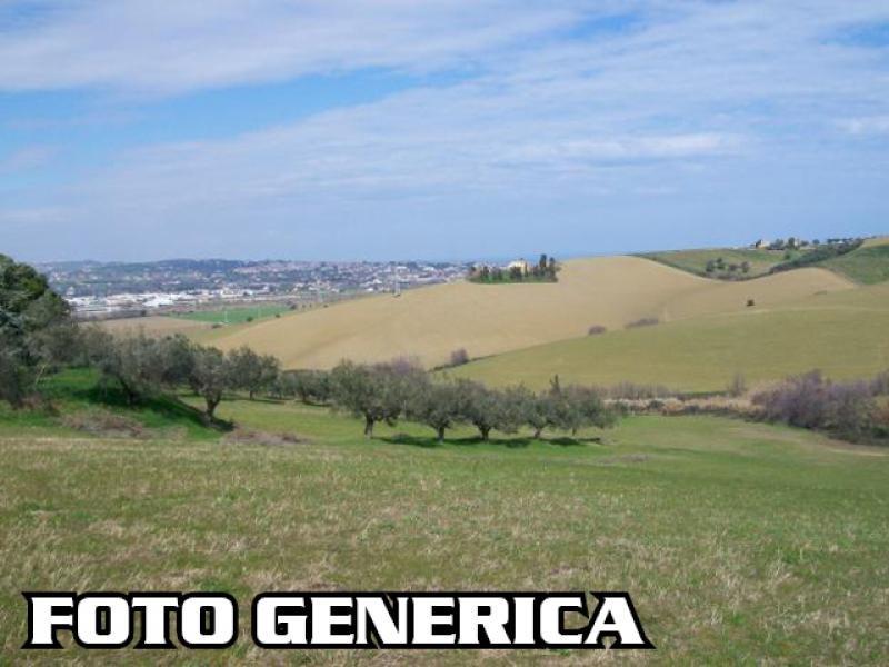 Terreno Agricolo in vendita, San Miniato calenzano