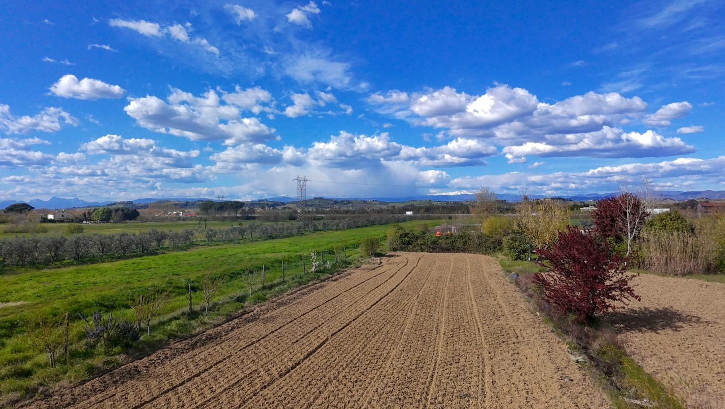 Terreno Agricolo in vendita a San Miniato