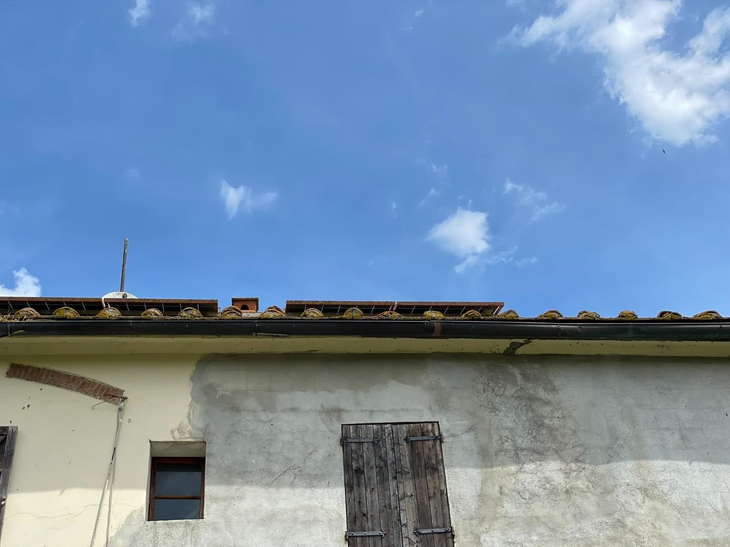 Attivit� commerciale in vendita, San Miniato calenzano