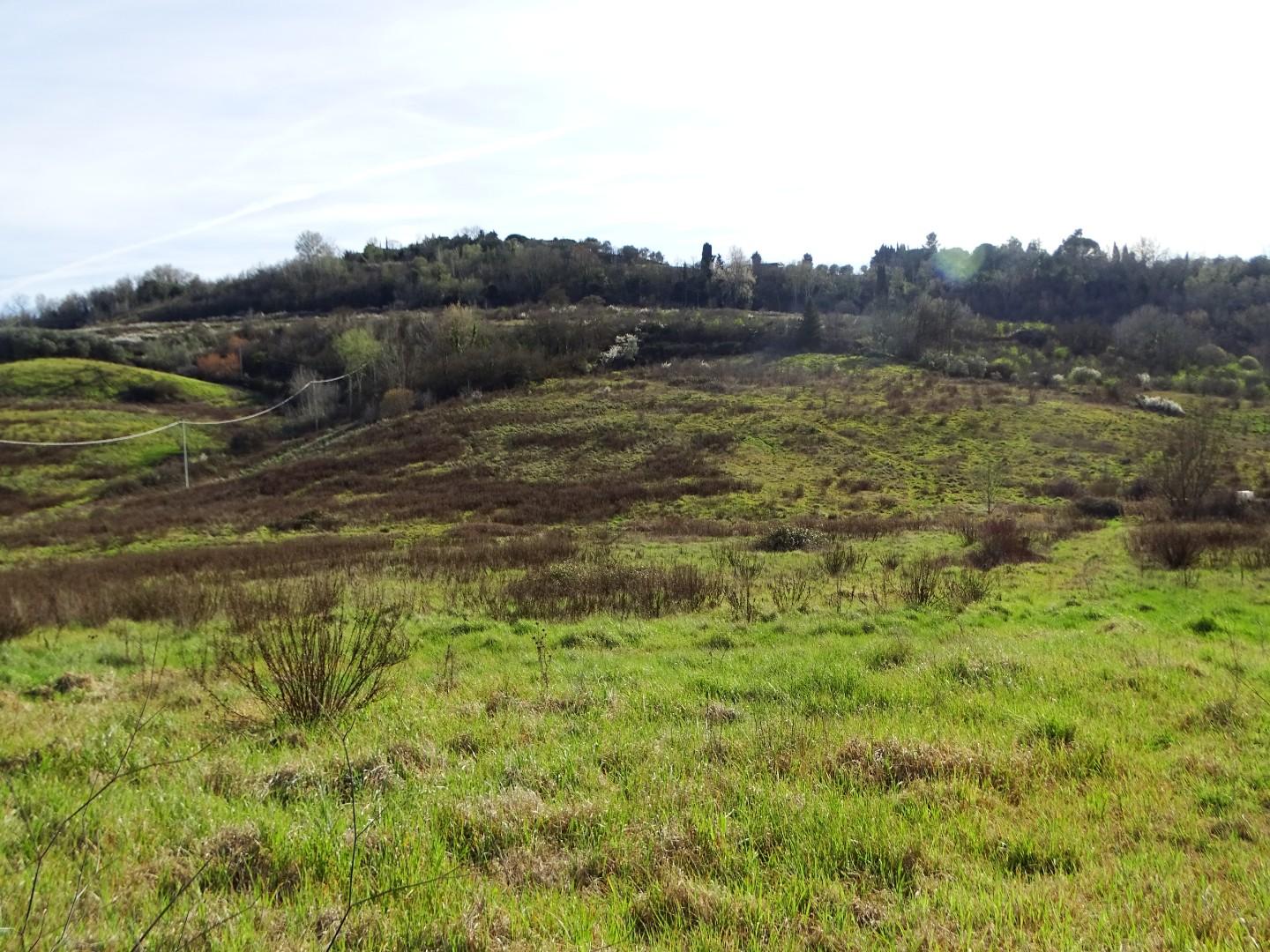 Attivit� commerciale in vendita a San Miniato