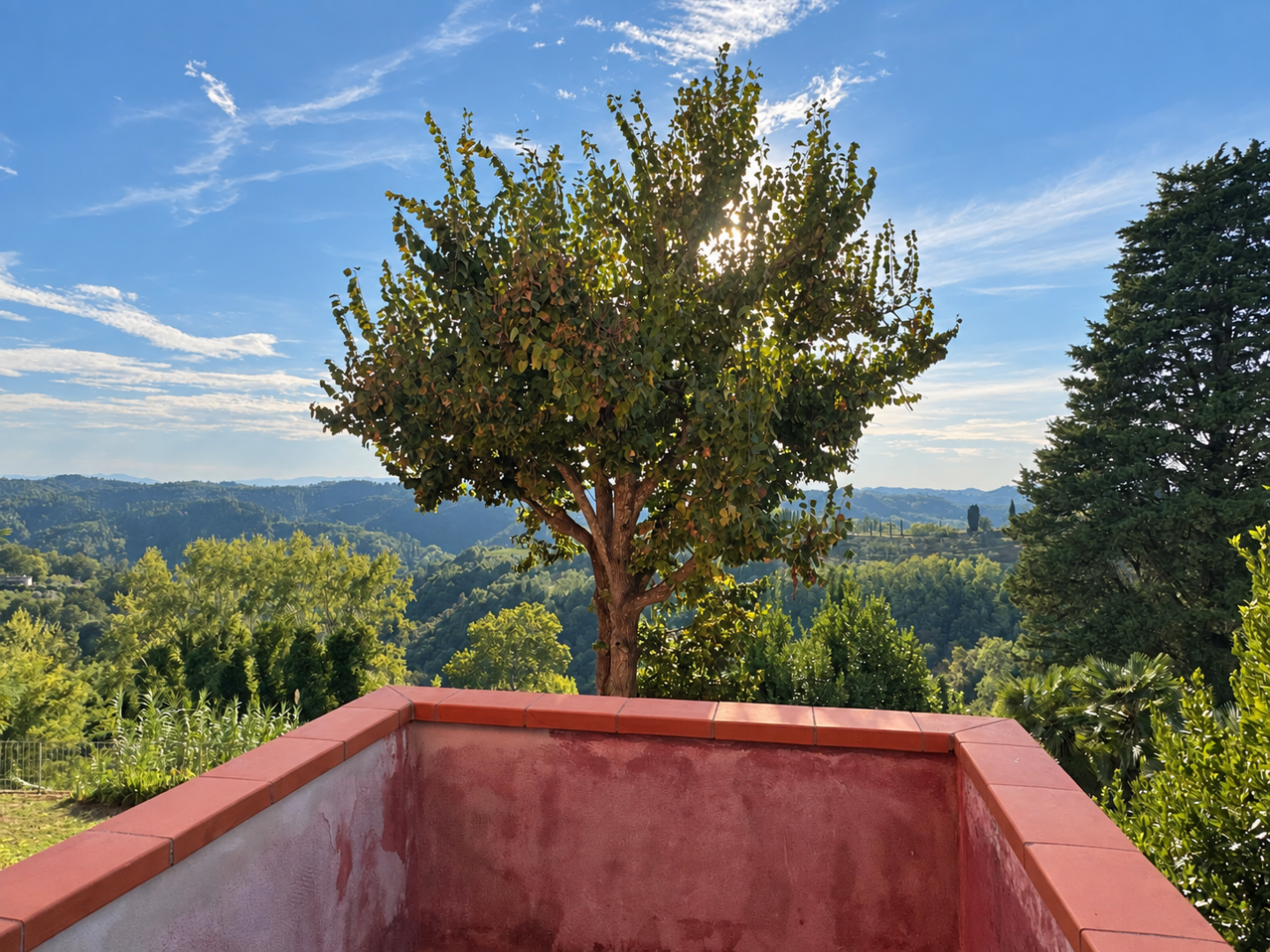 Trilocale arredato in affitto, San Miniato bucciano