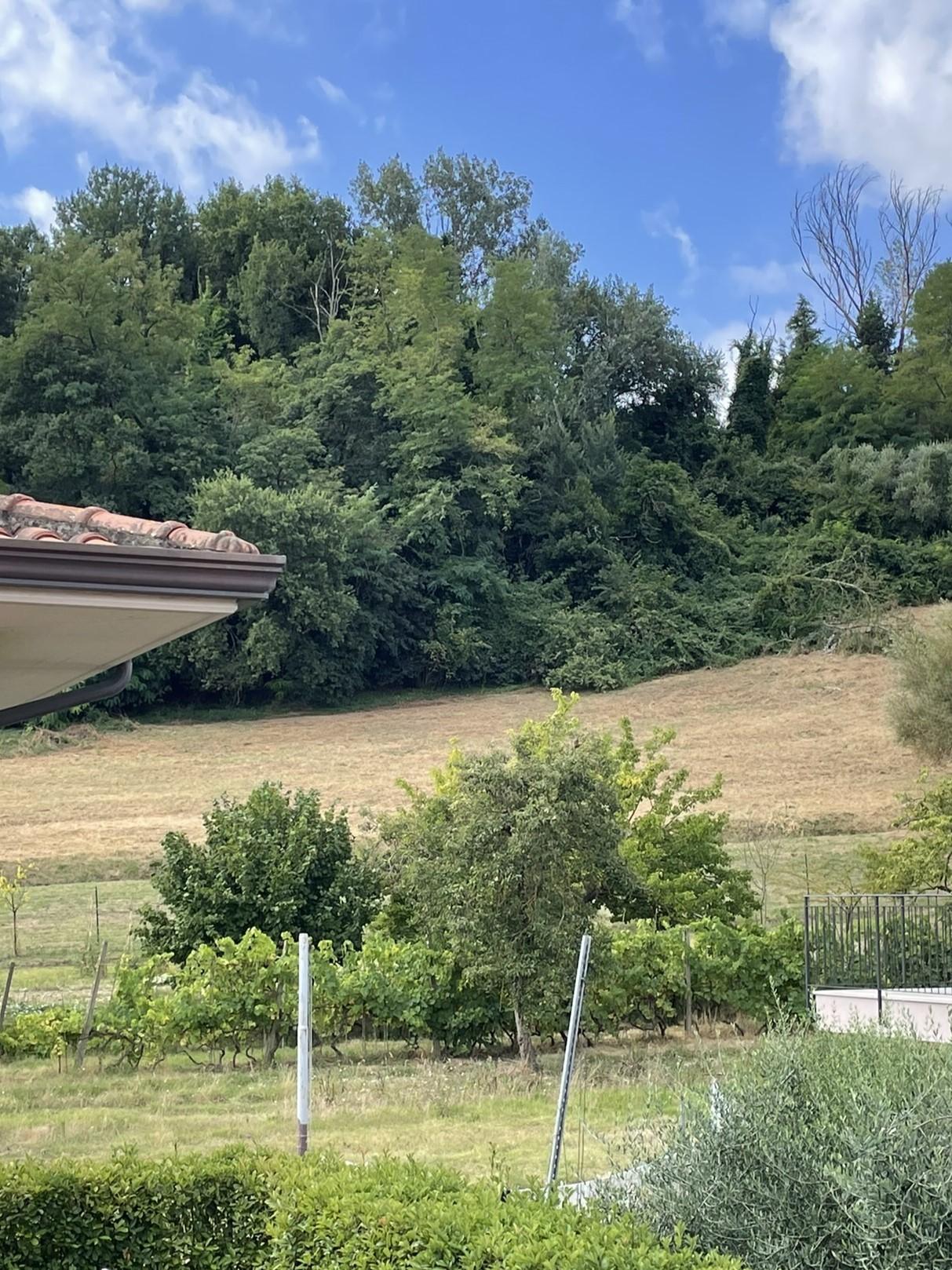 Quadrilocale con giardino, San Miniato basso