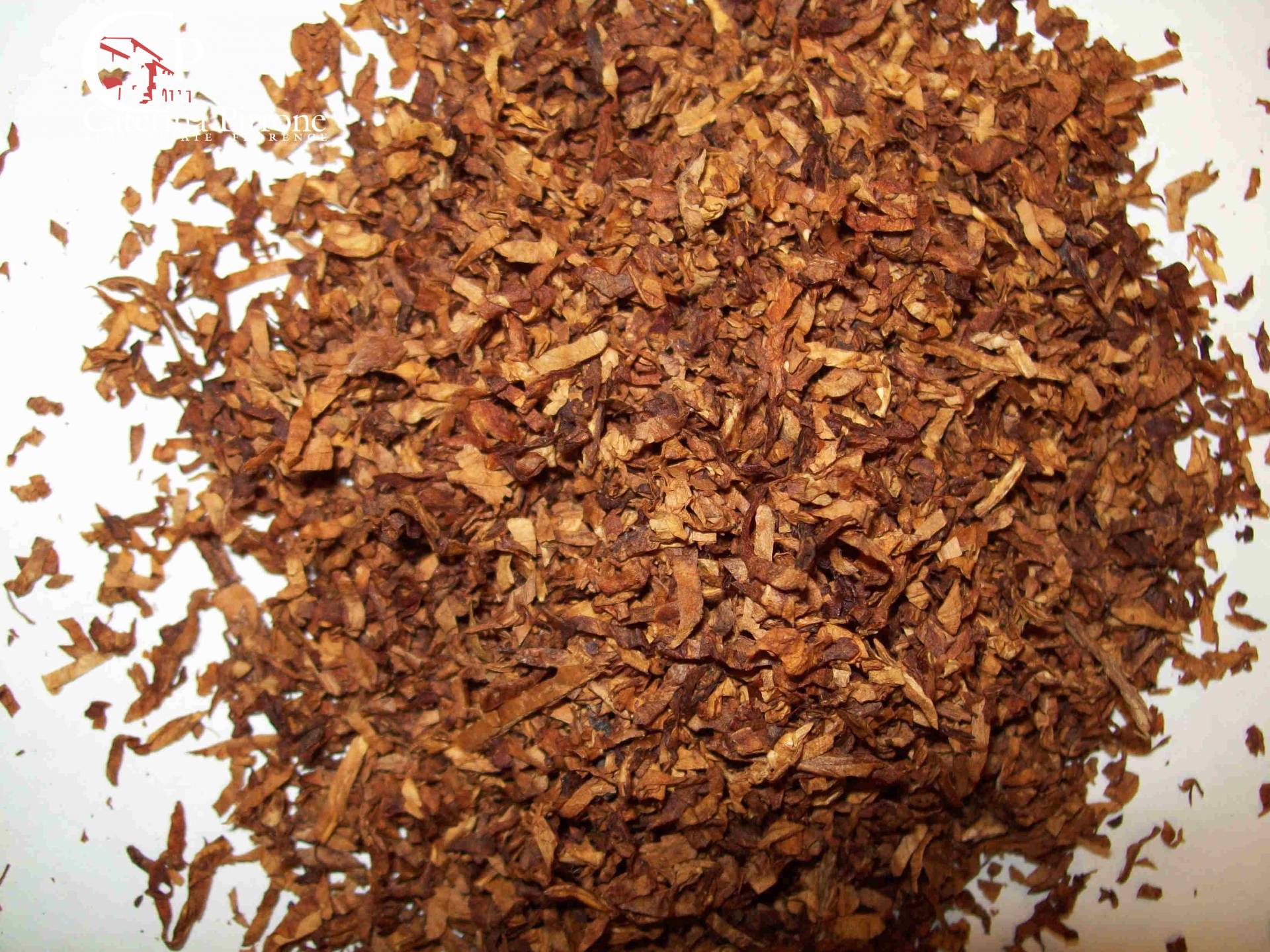 Attivit commerciale in vendita a Firenze