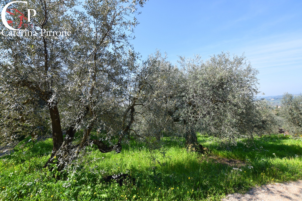 Terreno Agricolo in vendita a Bagno a Ripoli, Antella