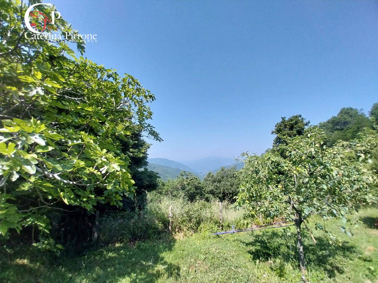 Colonica in vendita a Londa, Rincine