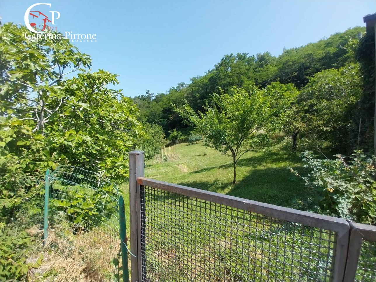 Colonica in vendita a Londa, Rincine