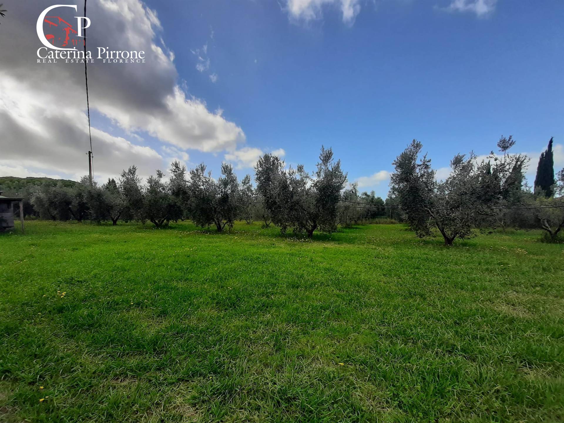 Villetta Bifamiliare in vendita a Rosignano Marittimo, Vada