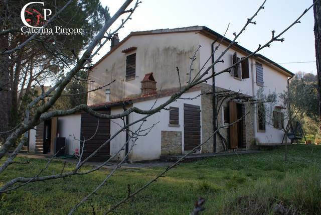 Cascina/Casale/Masseria in vendita a Montescudaio
