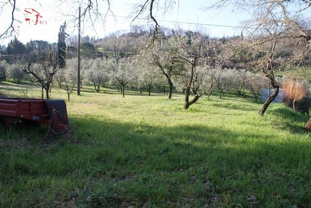 Cascina/Casale/Masseria in vendita a Montescudaio