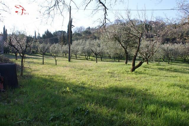 Cascina/Casale/Masseria in vendita a Montescudaio