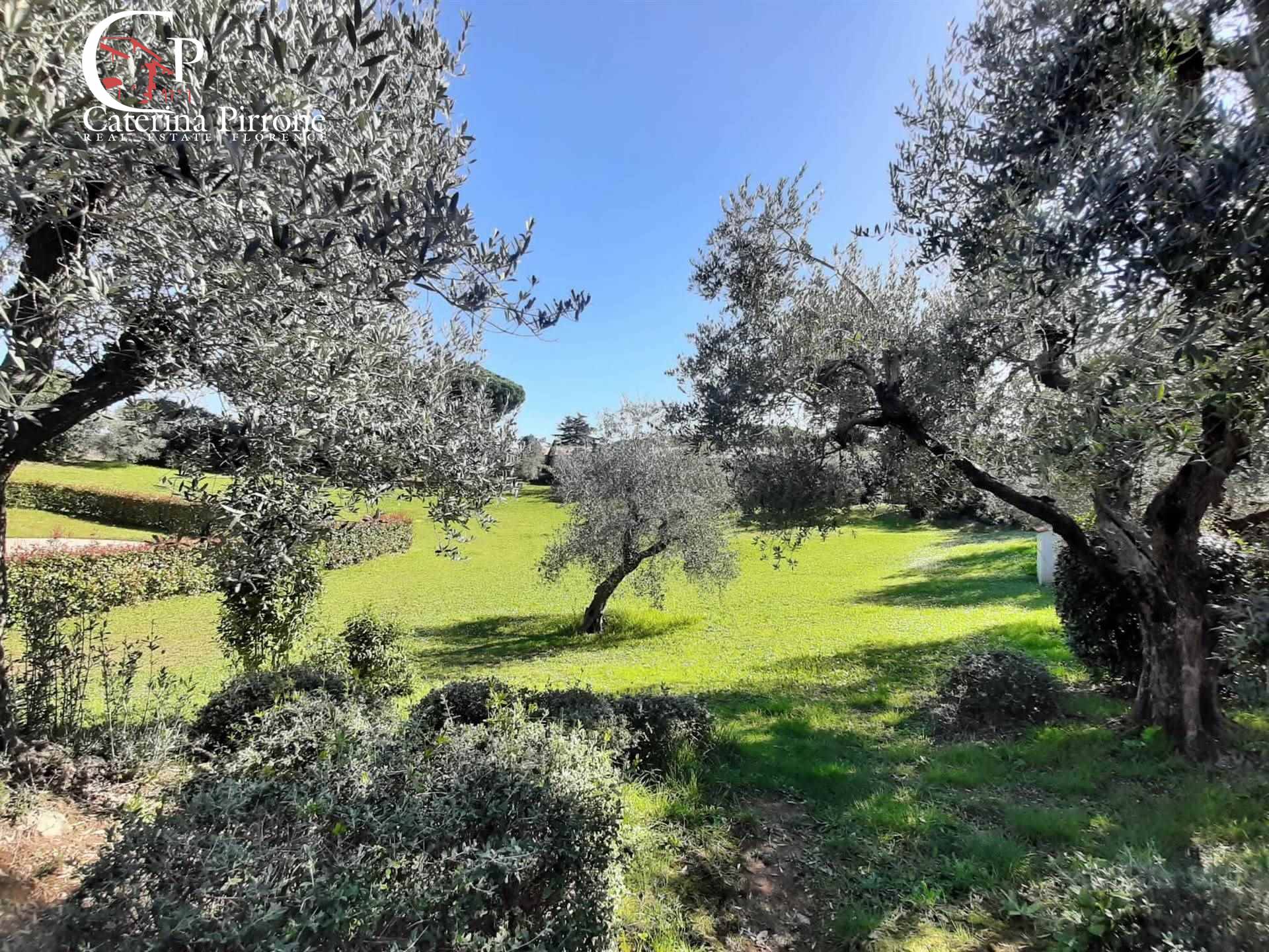 Terratetto in vendita a Cecina, San Pietro in Palazzi