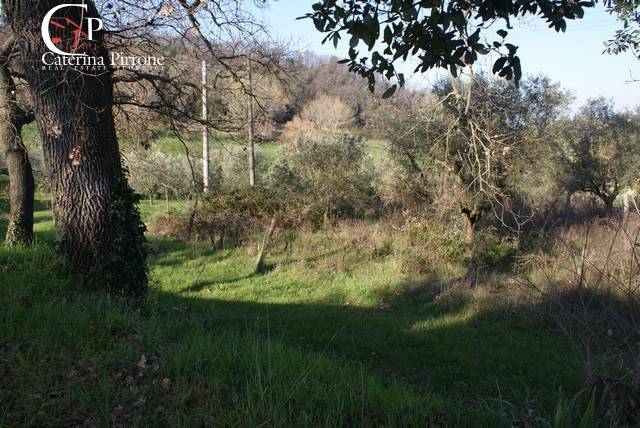 Cascina/Casale/Masseria in vendita a Montescudaio