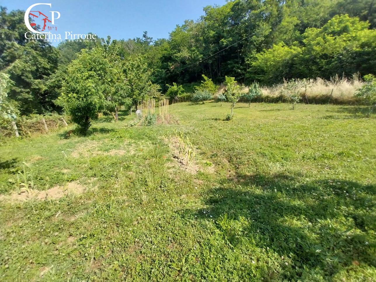 Colonica in vendita a Londa, Rincine