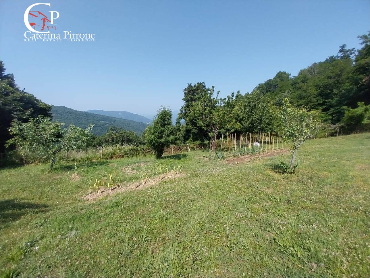 Colonica in vendita a Londa, Rincine