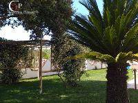 Villa in vendita a Orbetello, San Donato