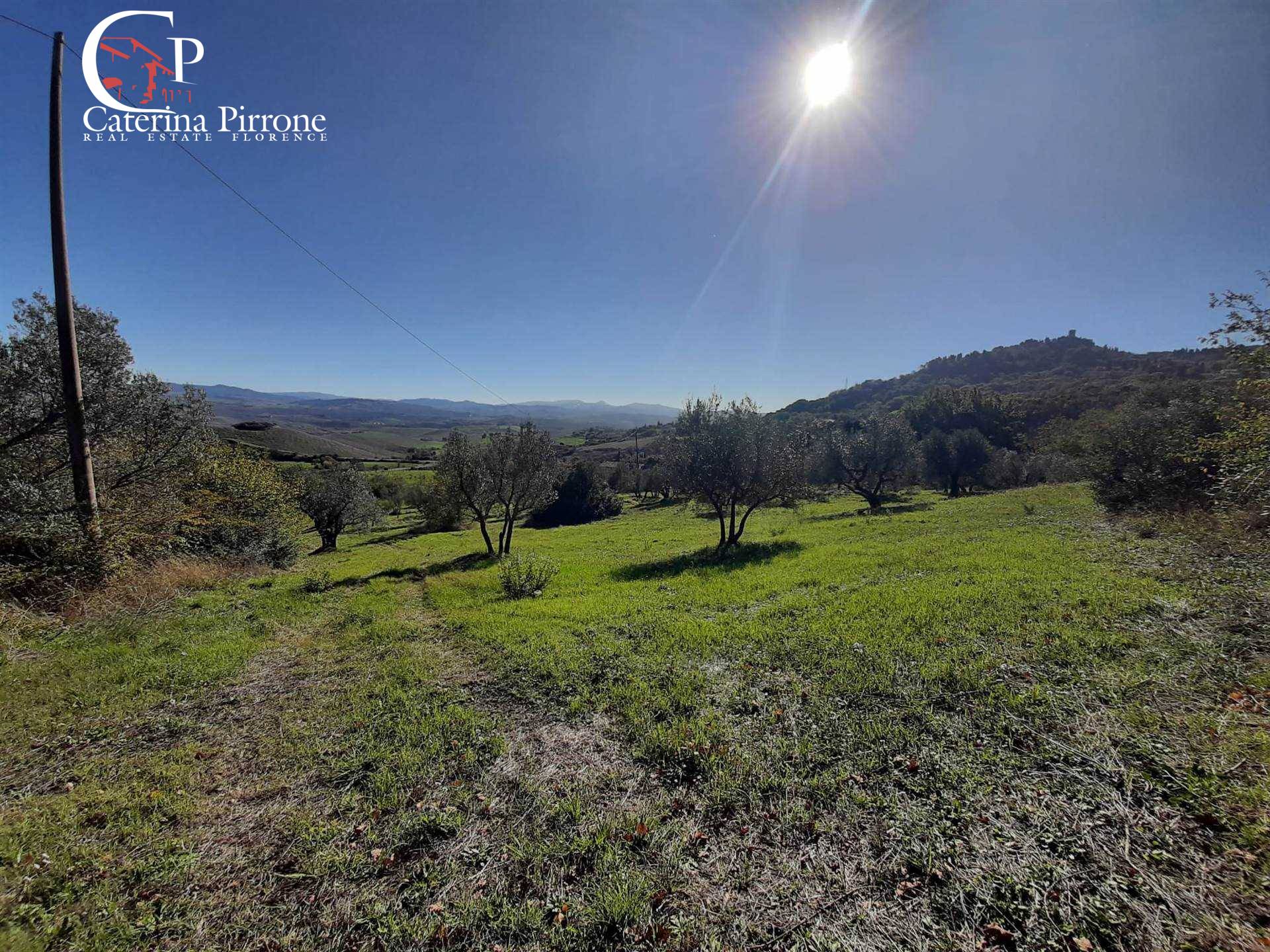 Colonica in vendita a Montecatini Val di Cecina