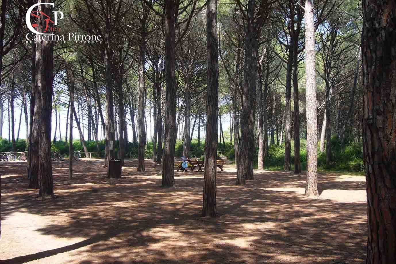 Appartamento in vendita a Rosignano Marittimo, Vada