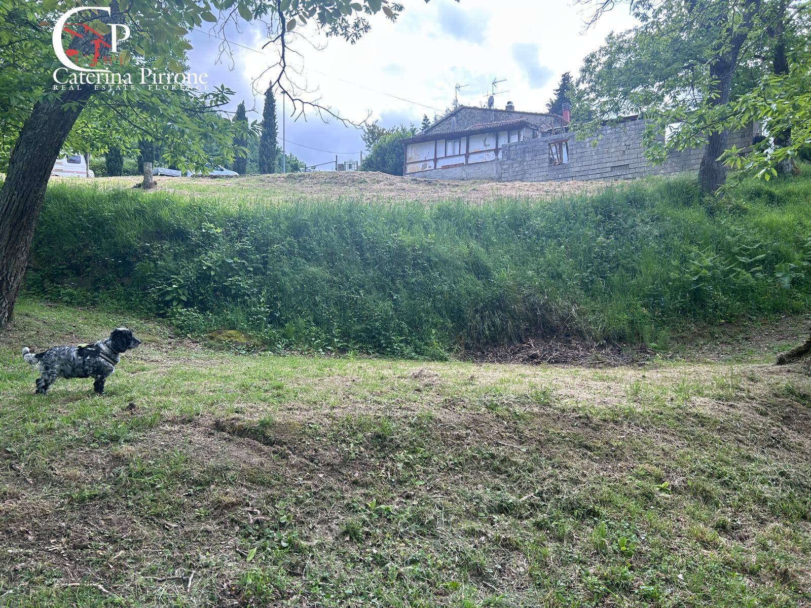 Rustico in vendita a San Godenzo