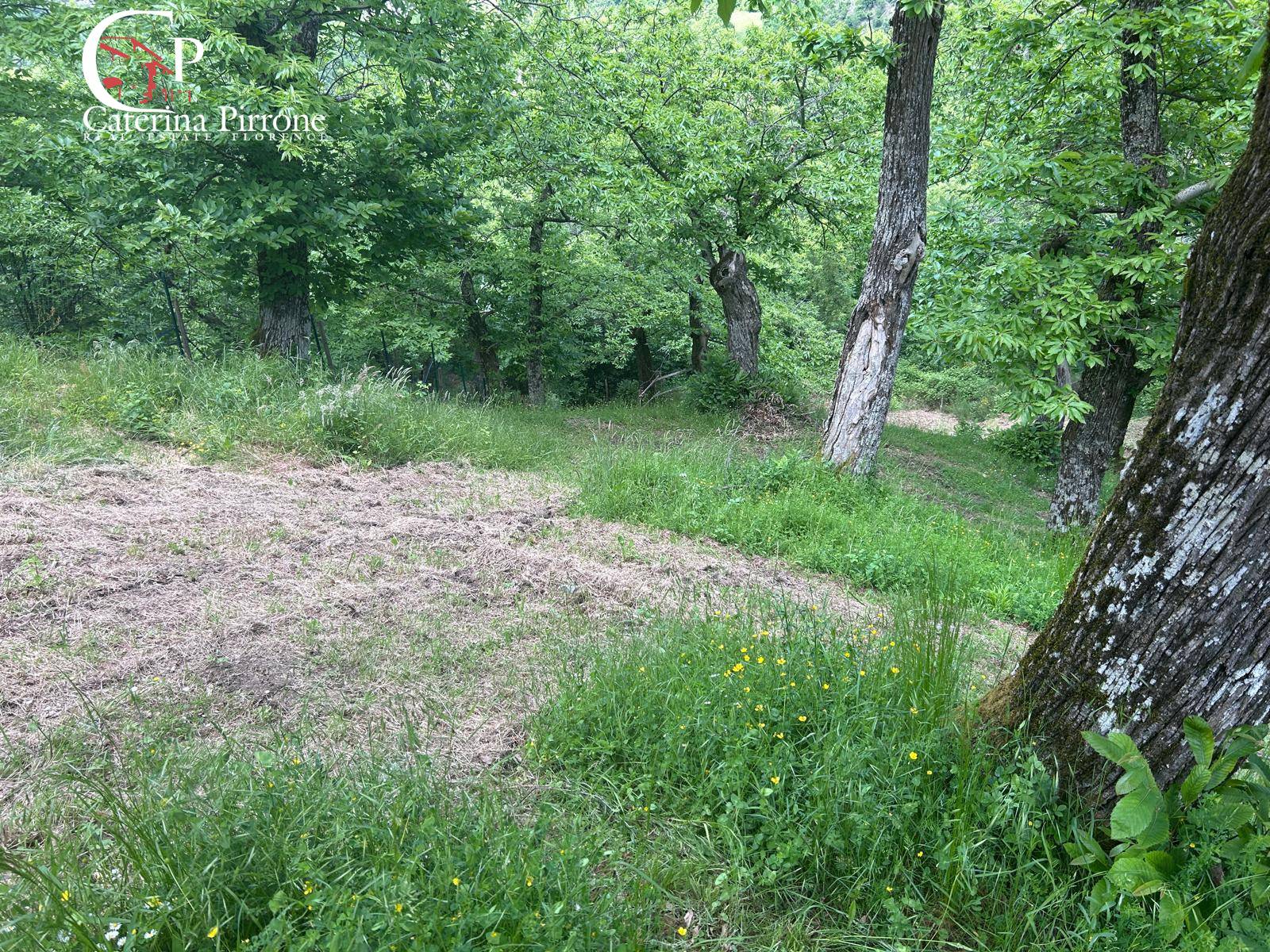 Rustico in vendita a San Godenzo