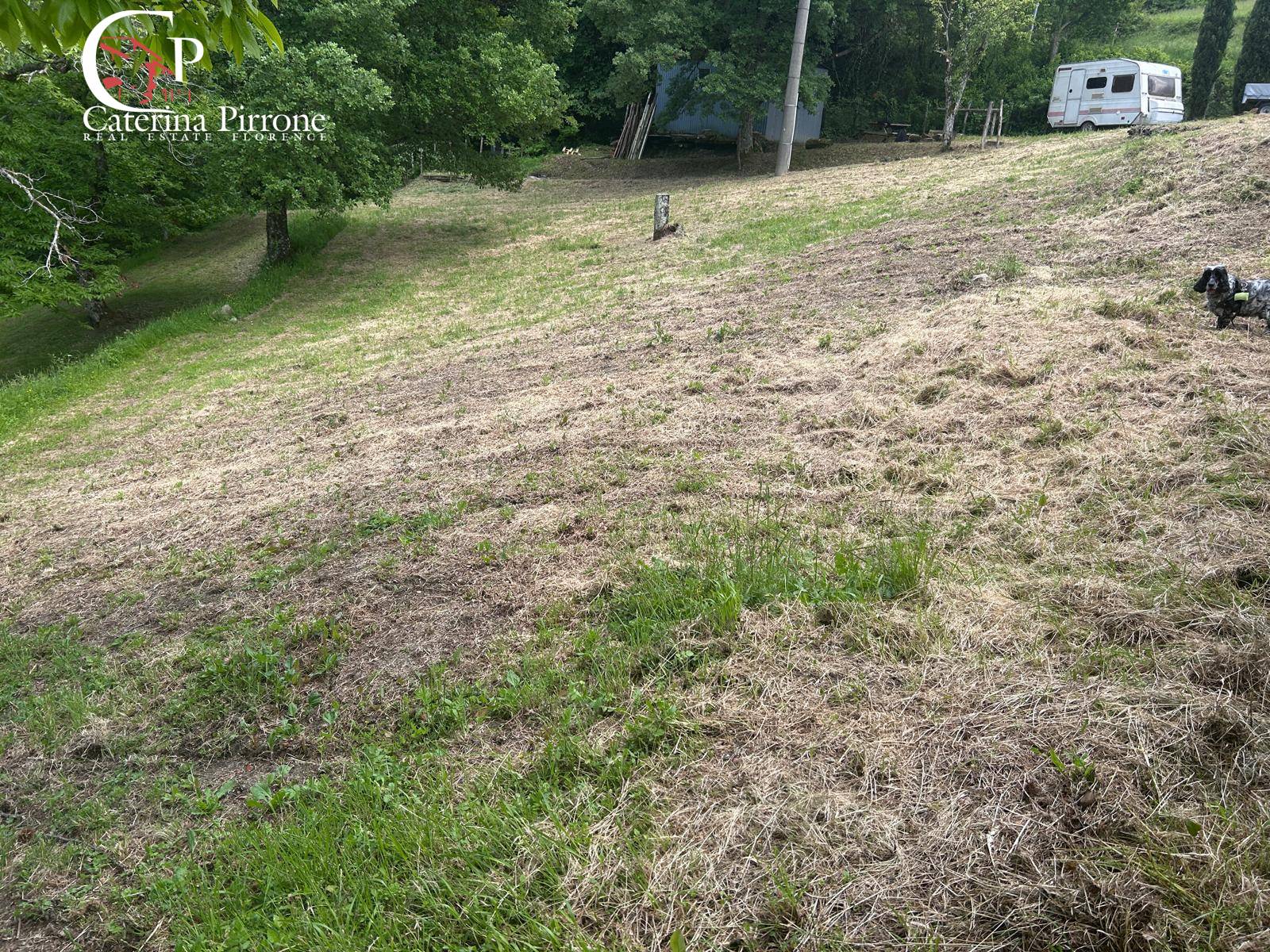 Rustico in vendita a San Godenzo