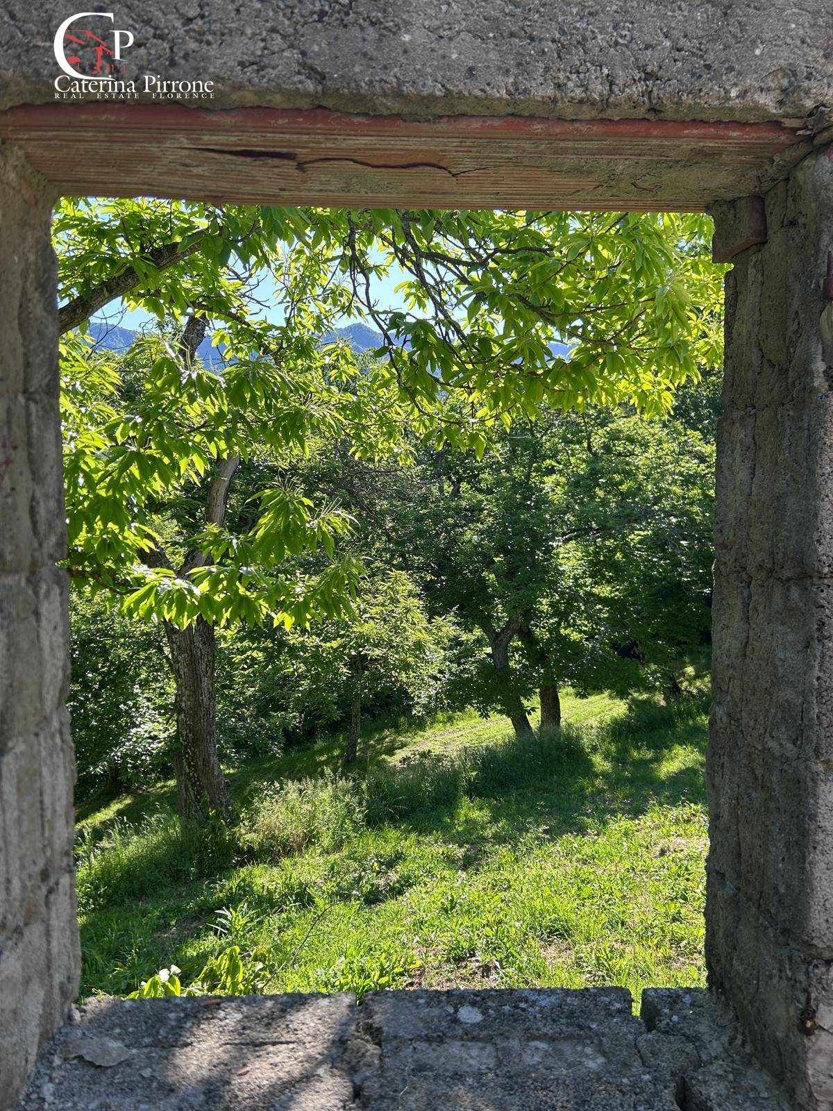 Rustico in vendita a San Godenzo